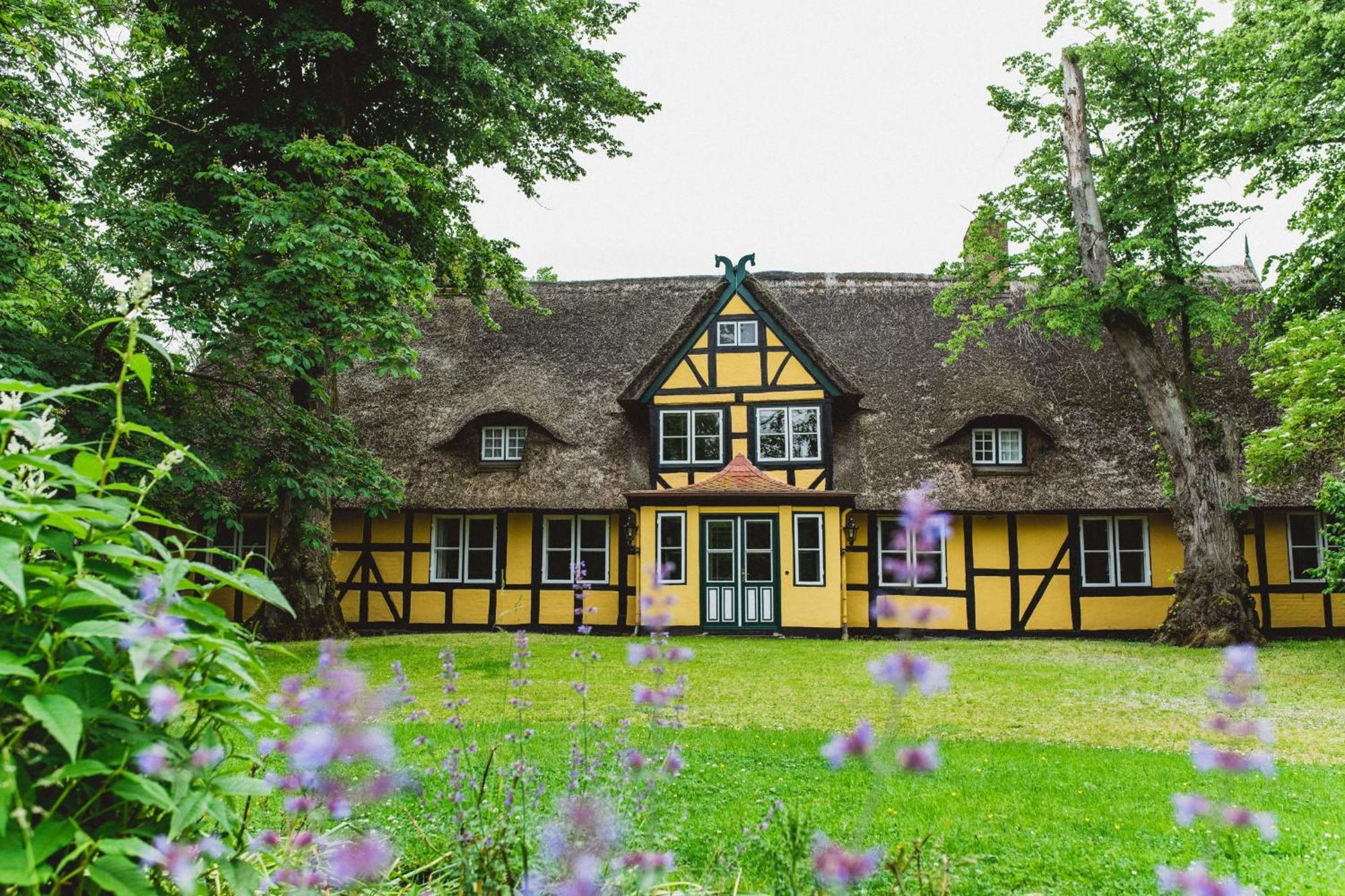 Herrenhaus Gut Dorotheenthal Damp Luaran gambar